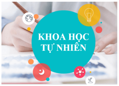 KHBD + PPT môn KHTN lớp 6 – Cánh diều